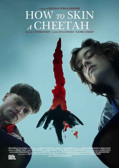 How to Skin a Cheetah (2024) poster