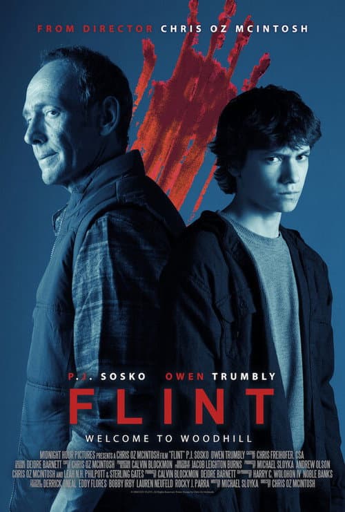 Flint (2024) poster