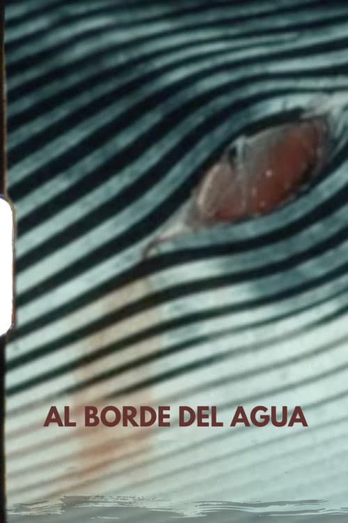 Al borde del agua (2023) poster