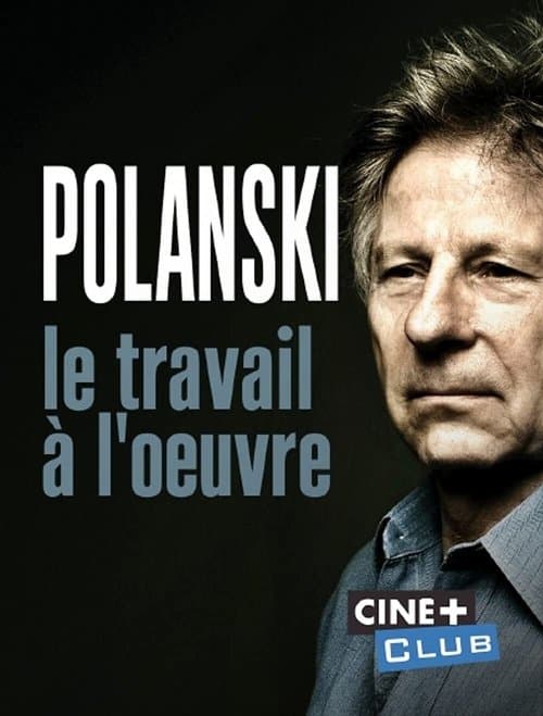 Polanski, le travail à l'oeuvre (2019) poster