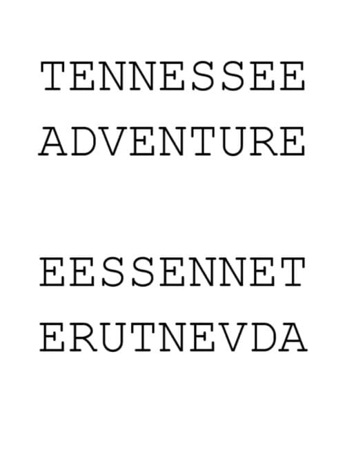Tennessee Adventure (2014) poster