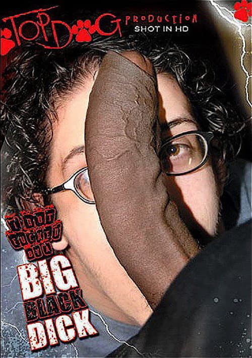 I Got Fucked by a Big Black Dick (2008) poster