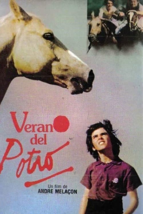 El verano del potro (1991) poster
