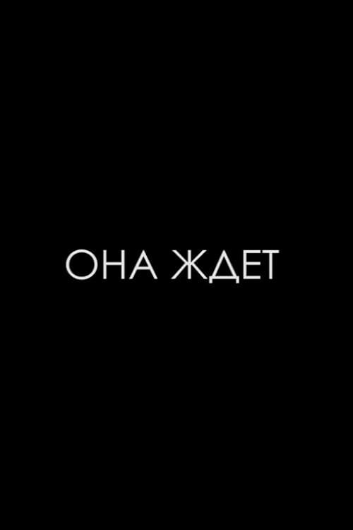 Она ждет (2014) poster