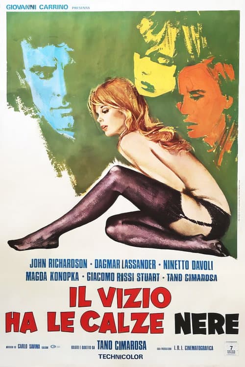 Il vizio ha le calze nere (1975) poster