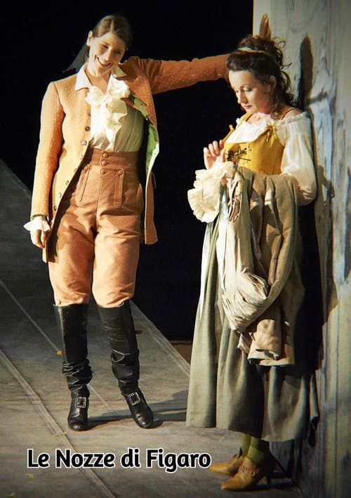 Le Nozze di Figaro - Wiener Staatsoper (2014) poster