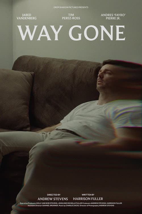 Way Gone (2023) poster