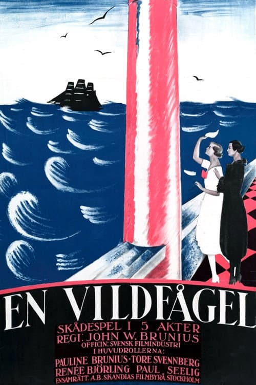 En vildfågel (1921) poster