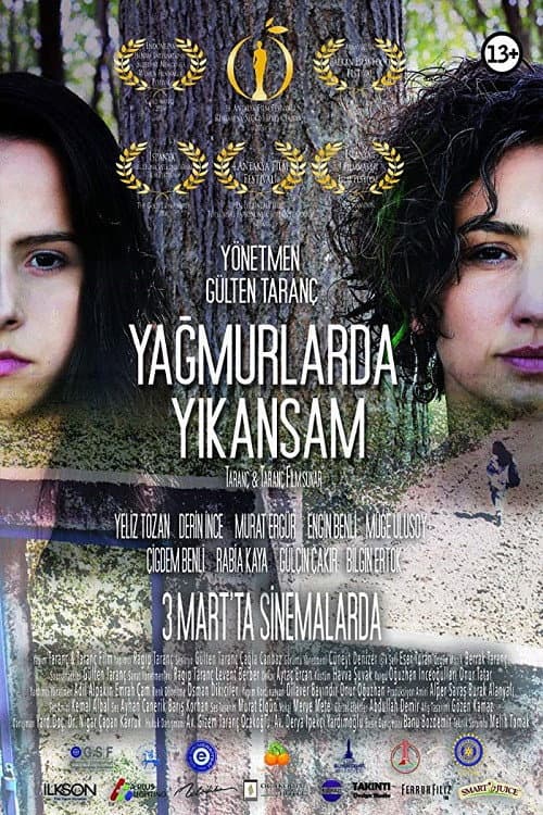 Yağmurlarda Yıkansam (2016) poster