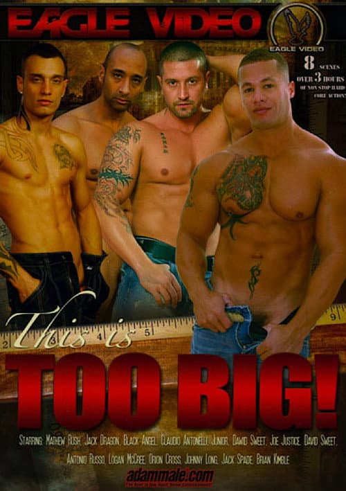 This Is Too Big (2012) poster