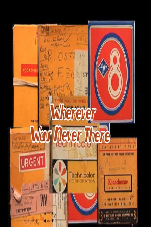 Wherever Was Never There (2011) poster