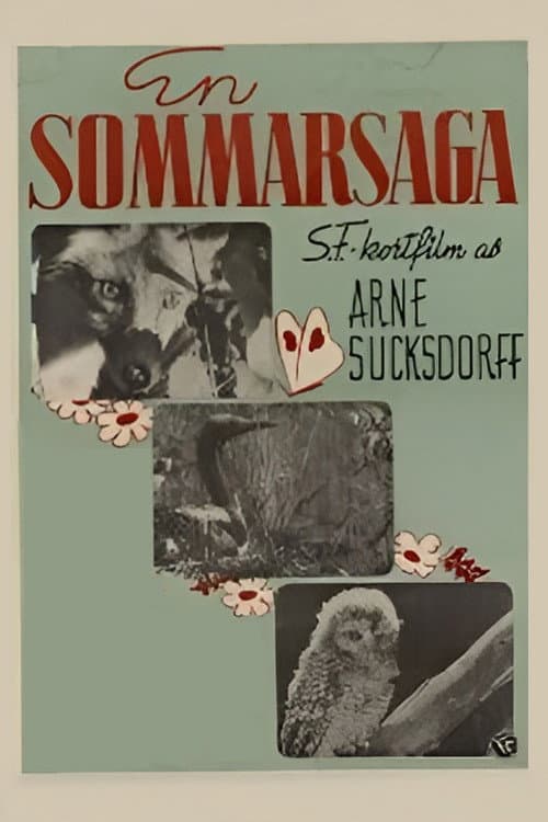 En sommarsaga (1941) poster
