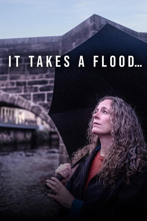 It Takes a Flood (2021) poster