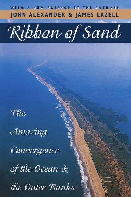 Ribbon of Sand (2008) poster