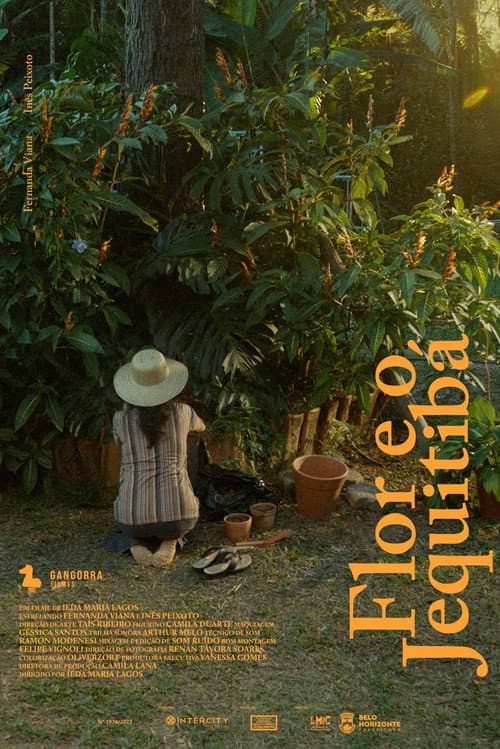 Flor e o Jequitibá (2026) poster