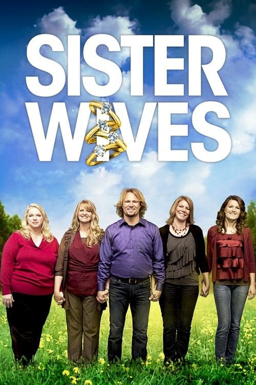 Sister Wives (2010) poster