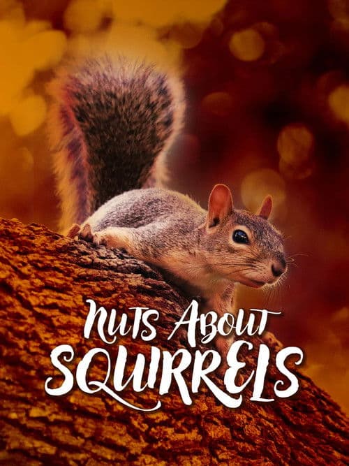 Nuts About Squirrels (2022) poster