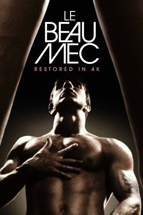 Le Beau Mec (1979) poster