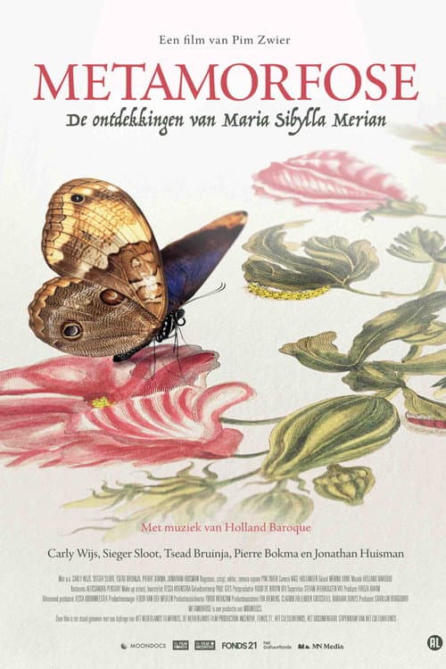 Metamorfose (2025) poster