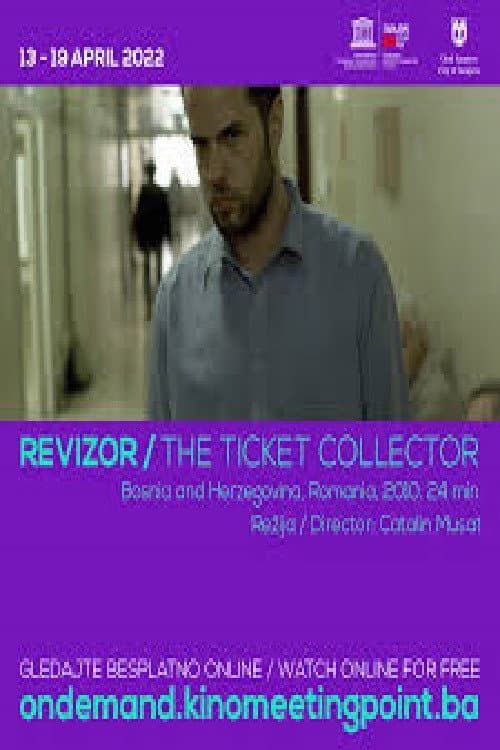 Revizor (2010) poster