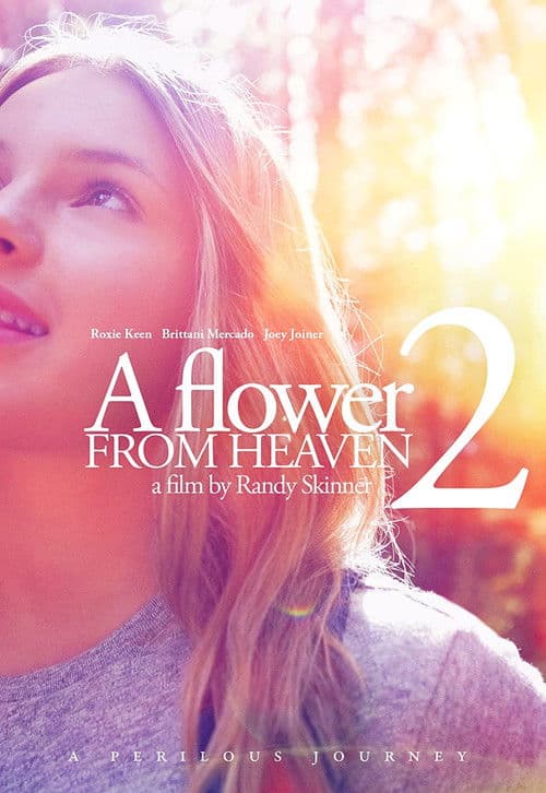 A Flower from Heaven 2: A Perilous Journey (2017) poster