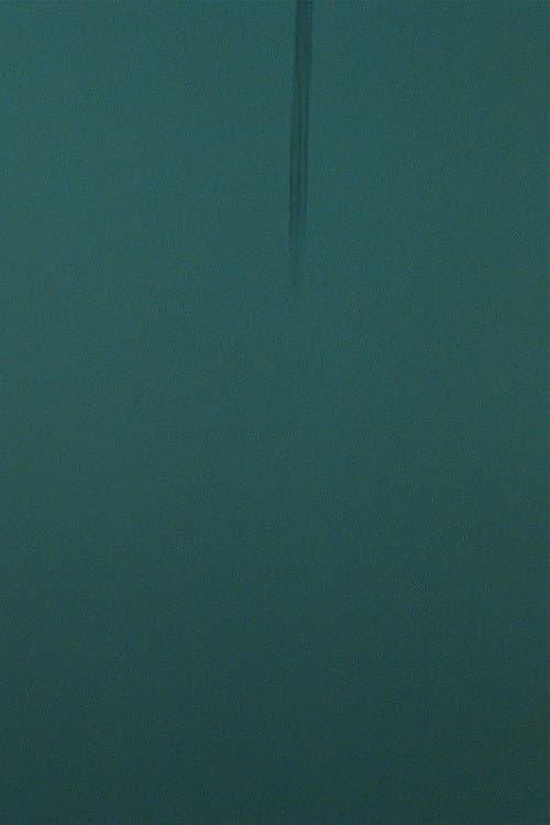 TEAL (2020) poster