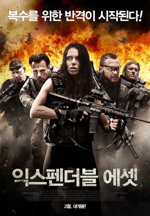 Expendable Assets (2016) poster