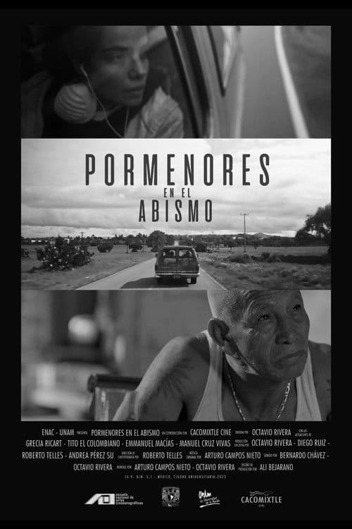Pormenores en el abismo (2023) poster