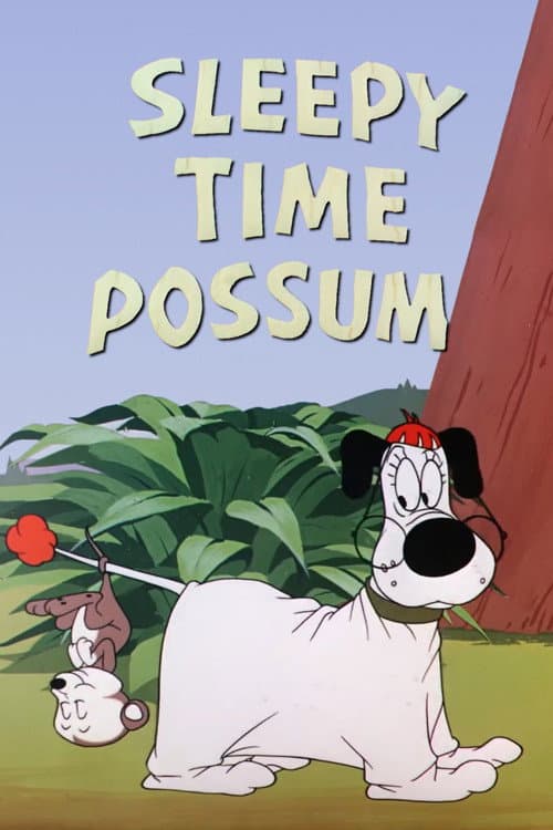 Sleepy Time Possum (1951) poster