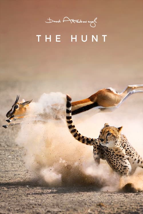 De jacht (2015) poster