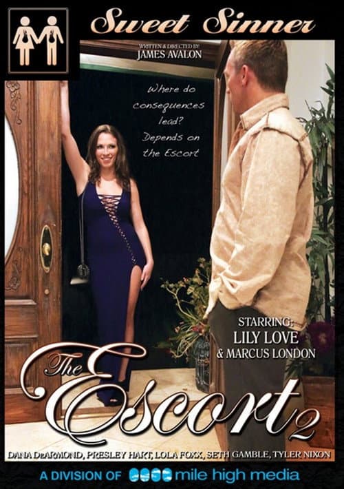 The Escort 2 (2014) poster