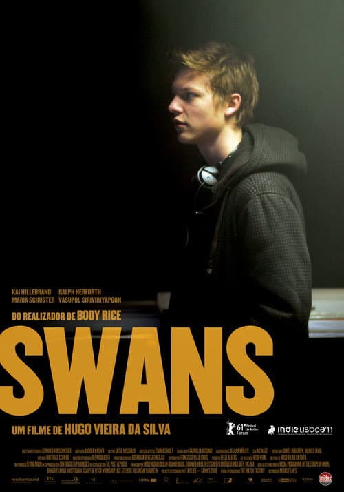 Swans (2011) poster