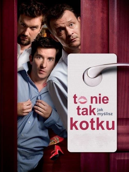 To nie tak jak myślisz kotku (2008) poster