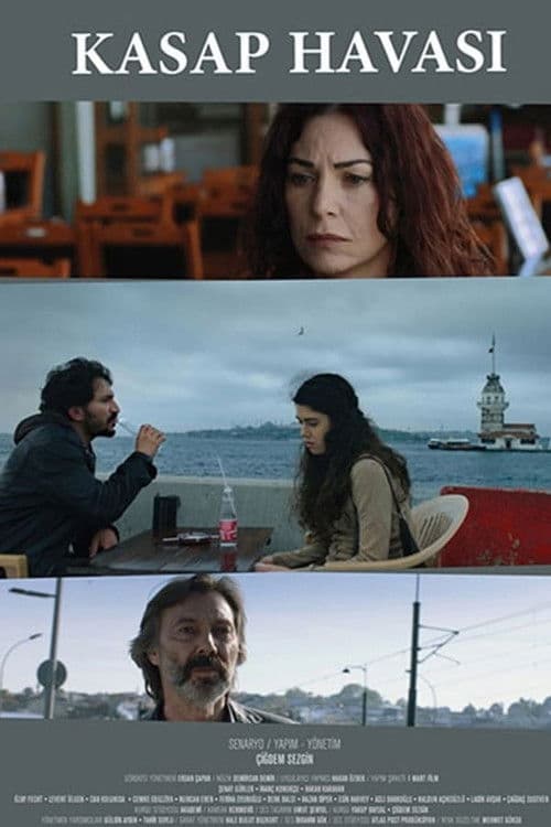 Kasap Havası (2016) poster