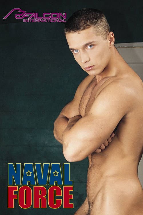 Naval Force (2001) poster
