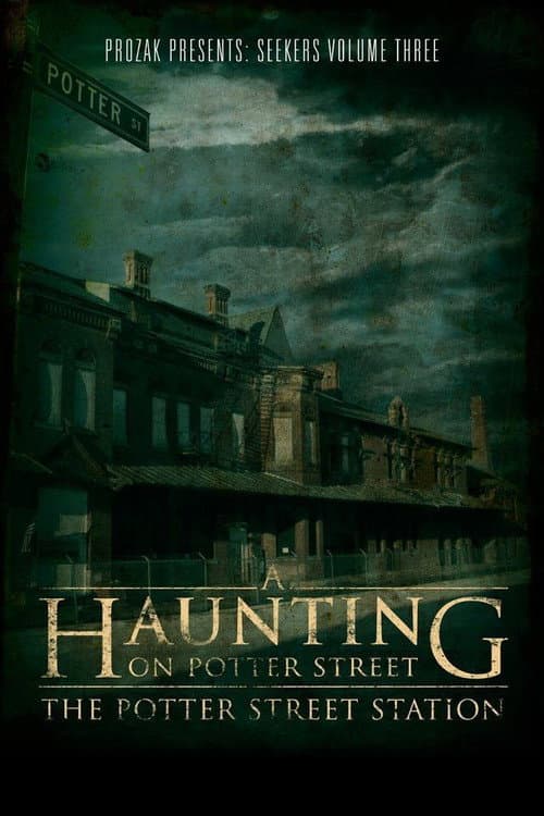 A Haunting on Potter Street: The Potter Street Station (2012) poster