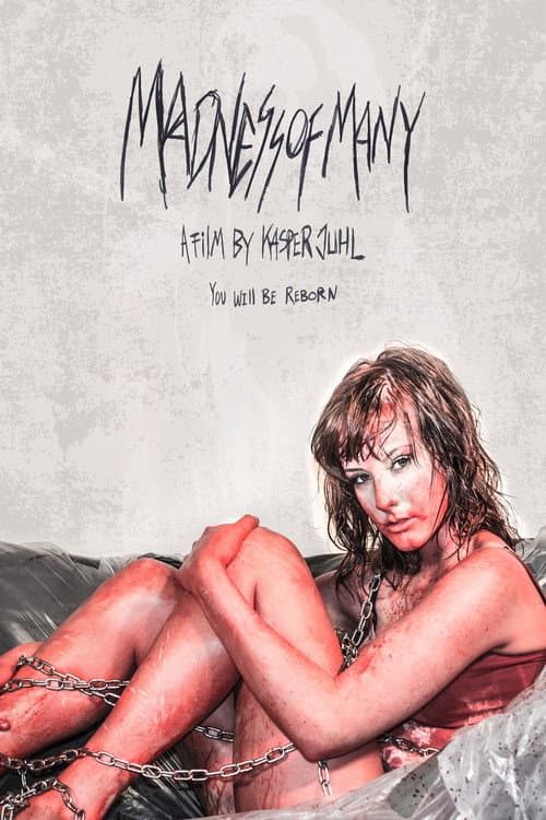 Madness of Many (2013) poster