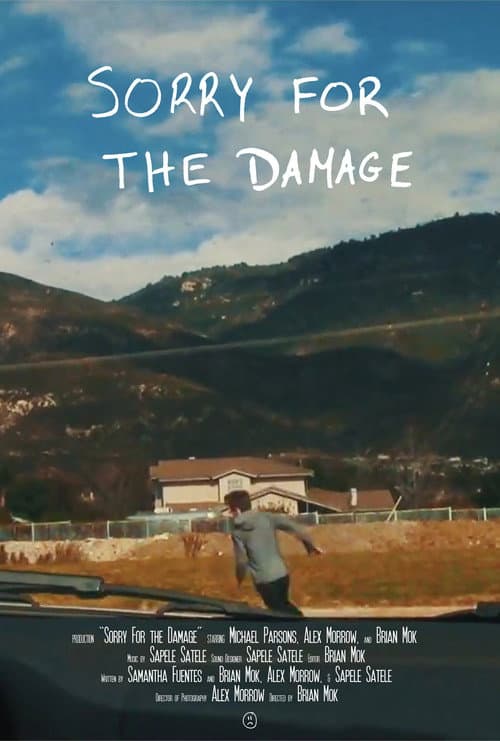 Sorry For the Damage (2016) poster