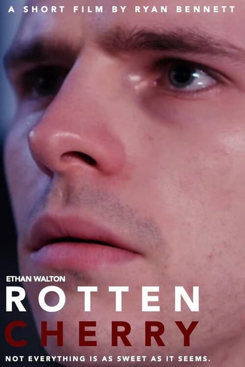 Rotten Cherry (2024) poster