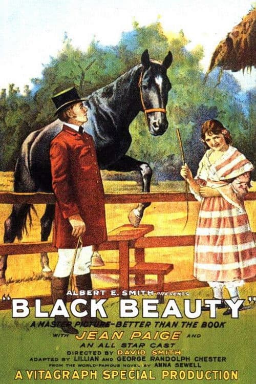 Black Beauty (1921) poster