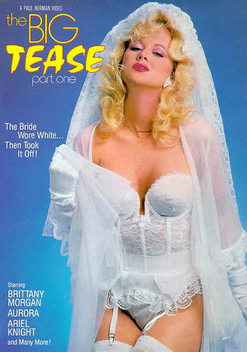 The Big Tease (1989) poster
