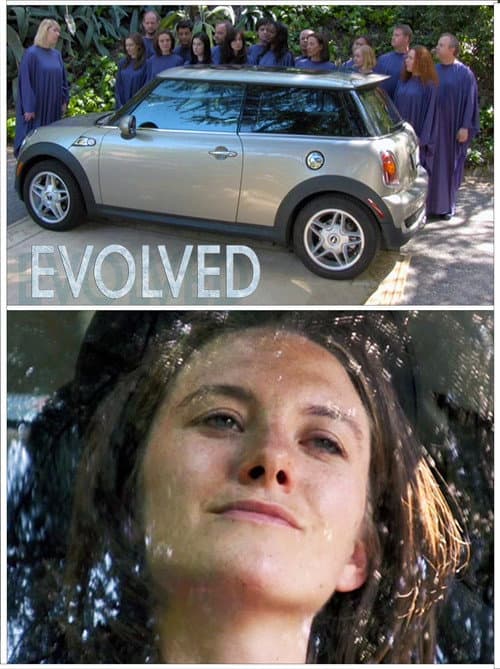 Evolved (2008) poster