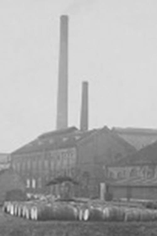 Koninklijke Stearine Kaarsenfabriek Gouda (1918) poster