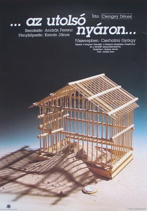Az utolsó nyáron (1991) poster