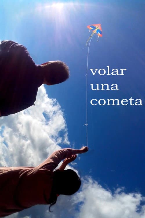 volar una cometa (2019) poster