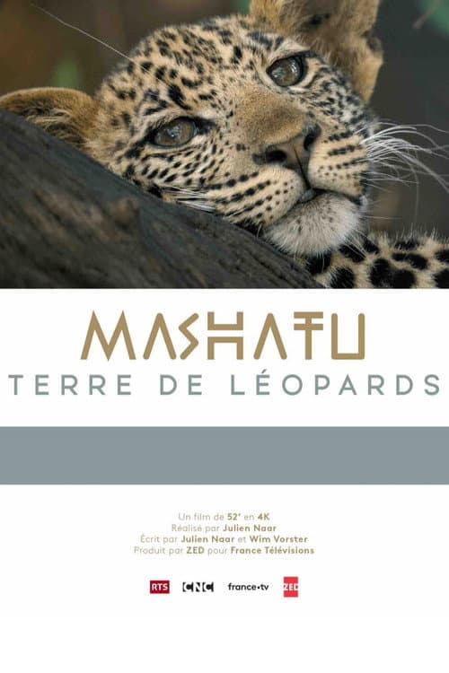 Mashatu: Land of Leopards (2024) poster