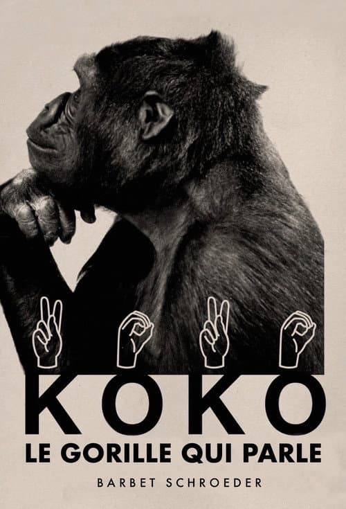 Koko, le gorille qui parle (1978) poster