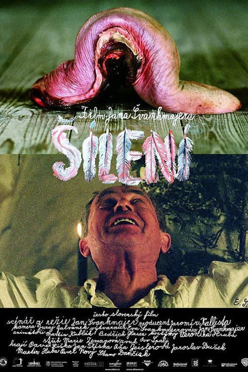 Šílení (2005) poster