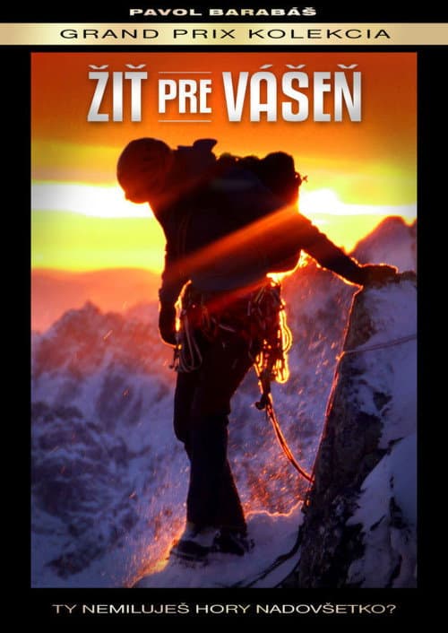 Žiť pre vášeň (2014) poster