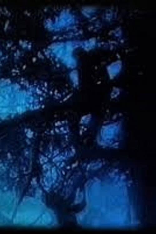 La Promenade Bleue (2006) poster